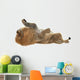 Male Lion Wall Decal Design 2