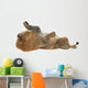 Male Lion Wall Decal Design 2