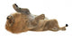 Male Lion Wall Decal Design 2