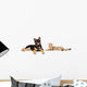Puppy and Cat Licks Wall Decal Panoramic Wall Decal