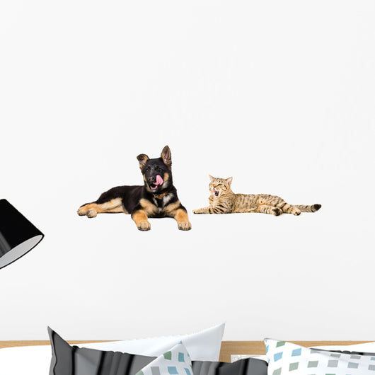 Puppy and Cat Licks Wall Decal Panoramic Wall Decal