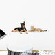 Puppy and Cat Licks Wall Decal Panoramic Wall Decal