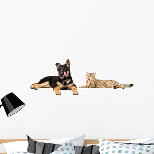 Puppy and Cat Licks Wall Decal Panoramic Wall Decal