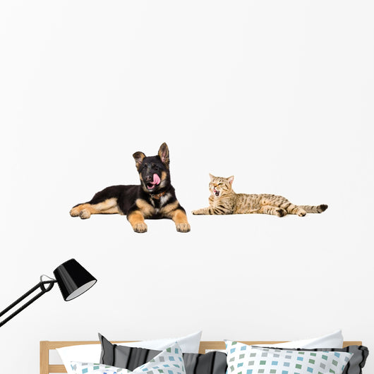 Puppy and Cat Licks Wall Decal Panoramic Wall Decal