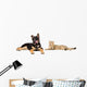 Puppy and Cat Licks Wall Decal Panoramic Wall Decal