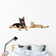 Puppy and Cat Licks Wall Decal Panoramic Wall Decal