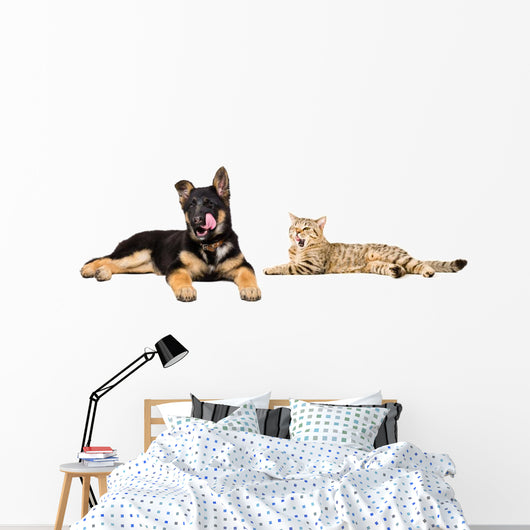 Puppy and Cat Licks Wall Decal Panoramic Wall Decal