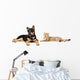 Puppy and Cat Licks Wall Decal Panoramic Wall Decal