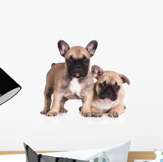 French Bulldog Puppies Wall Decal Design 3