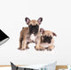 French Bulldog Puppies Wall Decal Design 3
