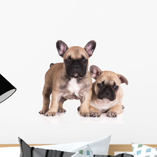French Bulldog Puppies Wall Decal Design 3