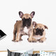 French Bulldog Puppies Wall Decal Design 3