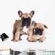 French Bulldog Puppies Wall Decal Design 3