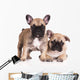 French Bulldog Puppies Wall Decal Design 3