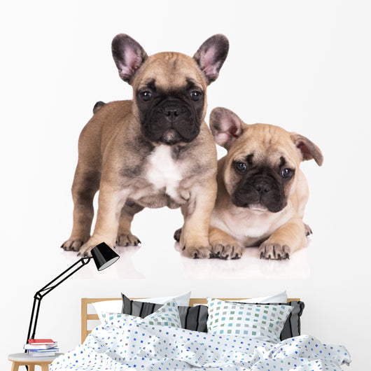 French Bulldog Puppies Wall Decal Design 3