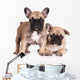 French Bulldog Puppies Wall Decal Design 3