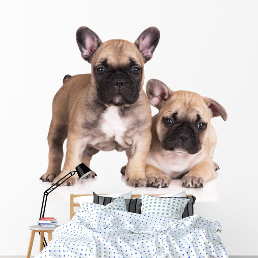 French Bulldog Puppies Wall Decal Design 3