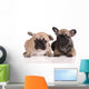 Two French Bulldog Puppies Wall Decal