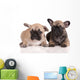 Two French Bulldog Puppies Wall Decal