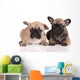 Two French Bulldog Puppies Wall Decal