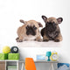 Two French Bulldog Puppies Wall Decal