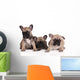 French Bulldog Puppies Wall Decal Design 2