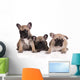 French Bulldog Puppies Wall Decal Design 2