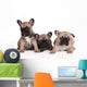 French Bulldog Puppies Wall Decal Design 2