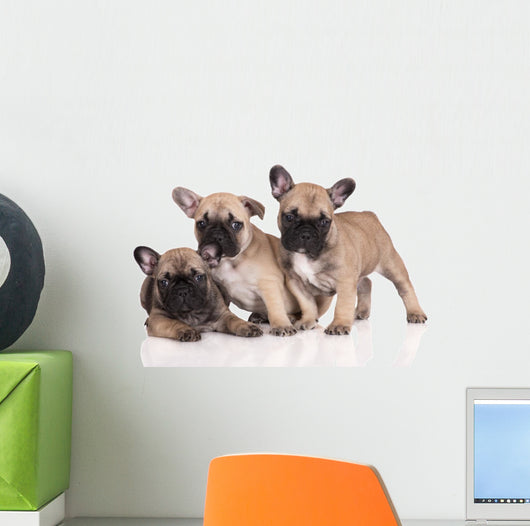 French Bulldog Puppies Wall Decal Design 1