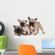 French Bulldog Puppies Wall Decal Design 1