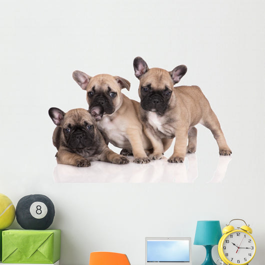 French Bulldog Puppies Wall Decal Design 1
