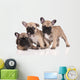 French Bulldog Puppies Wall Decal Design 1