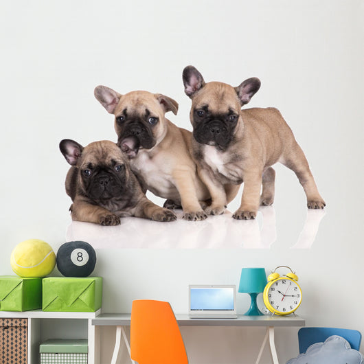 French Bulldog Puppies Wall Decal Design 1
