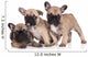 French Bulldog Puppies Wall Decal Design 1