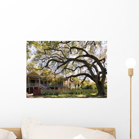 Laura Plantation New Orlean Wall Decal