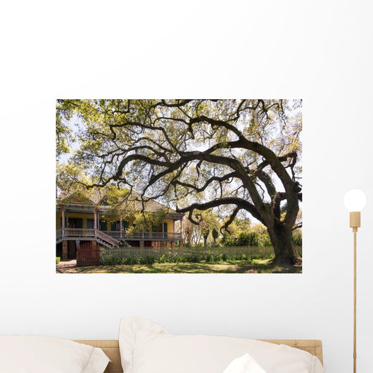 Laura Plantation New Orlean Wall Decal