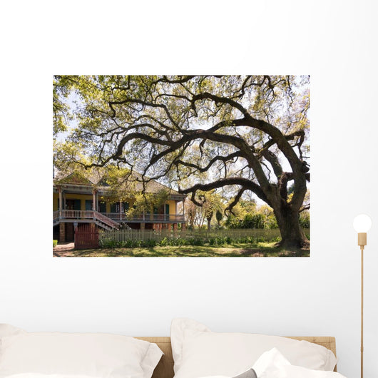 Laura Plantation New Orlean Wall Decal