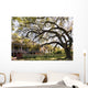 Laura Plantation New Orlean Wall Decal