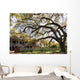 Laura Plantation New Orlean Wall Decal