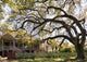 Laura Plantation New Orlean Wall Decal