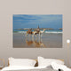 Dromadaires Sur La Plage Wall Decal