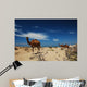Camels Wall Decal