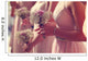 Hands Bridesmaid Holding Beautiful Wall Decal
