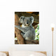 Australian Koala Wall Decal