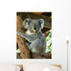 Australian Koala Wall Decal