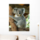 Australian Koala Wall Decal