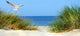 Baltic Sand Dunes Wall Decal Panoramic Wall Decal