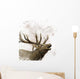 Bull Elk Watercolor Wall Decal