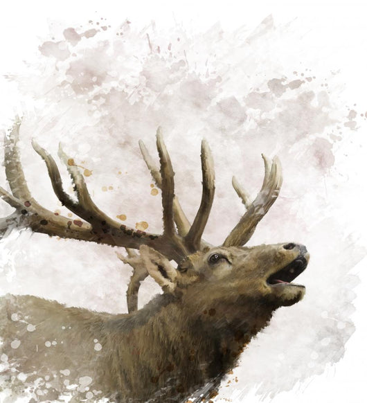 Bull Elk Watercolor Wall Decal