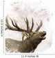 Bull Elk Watercolor Wall Decal